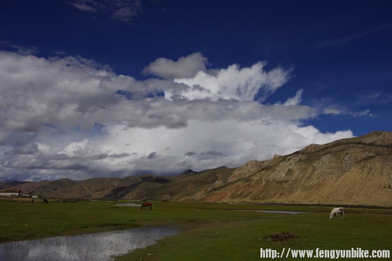 调整大小 IMGP3120.JPG