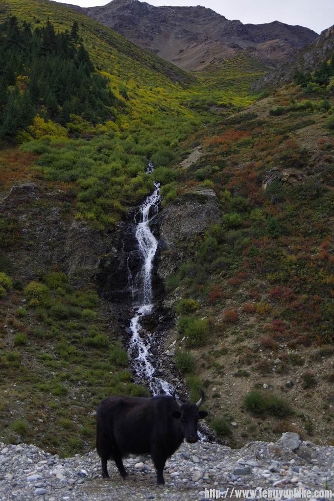 调整大小 IMGP3257.JPG