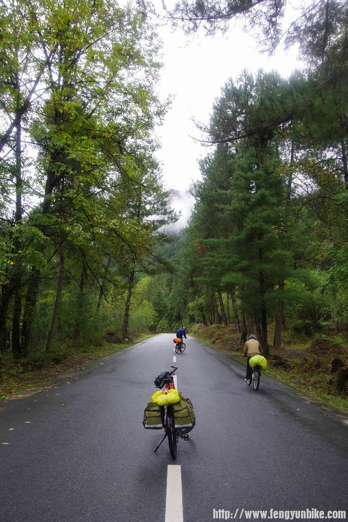 林间穿行。。最美的一天