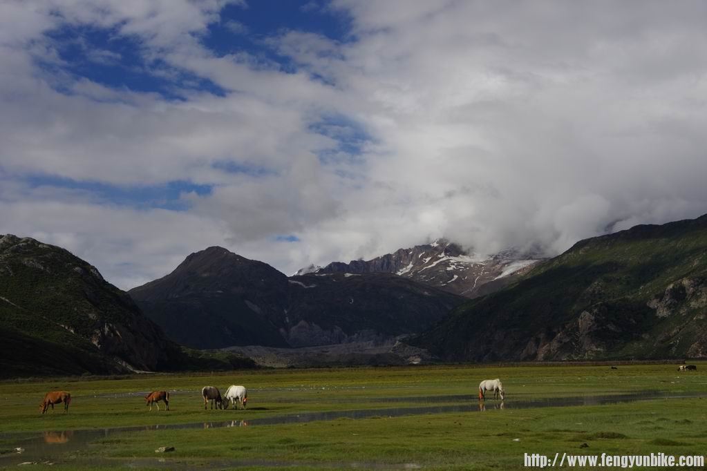 调整大小 IMGP1140.JPG