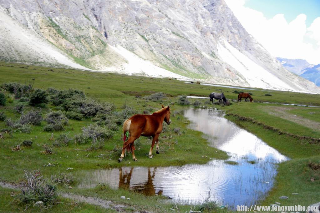 调整大小 IMGP1250.JPG