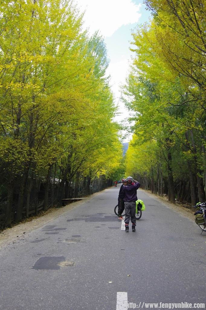 进八一前的秋景