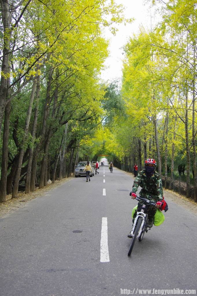 调整大小 IMGP3469.JPG