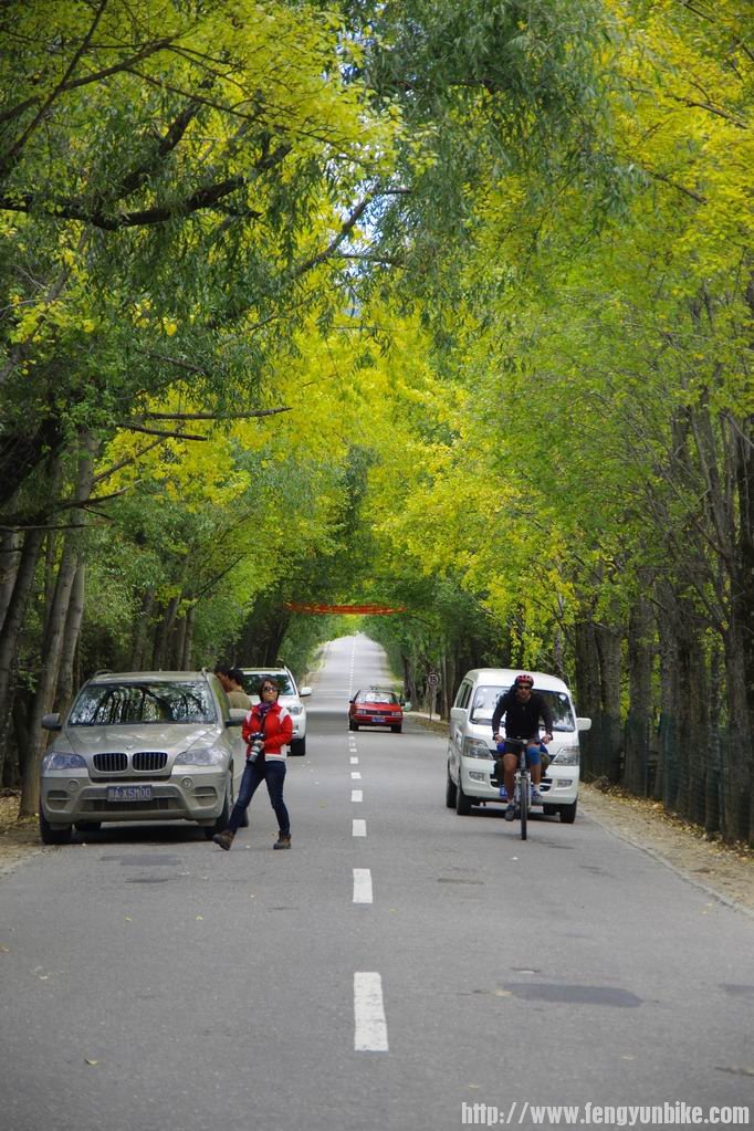 调整大小 IMGP3470.JPG