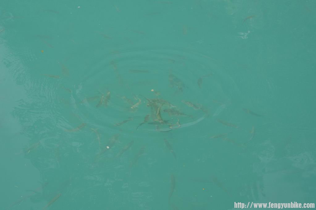 调整大小 IMGP3554.JPG