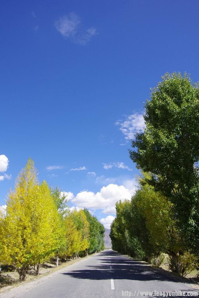 调整大小 IMGP3637.JPG