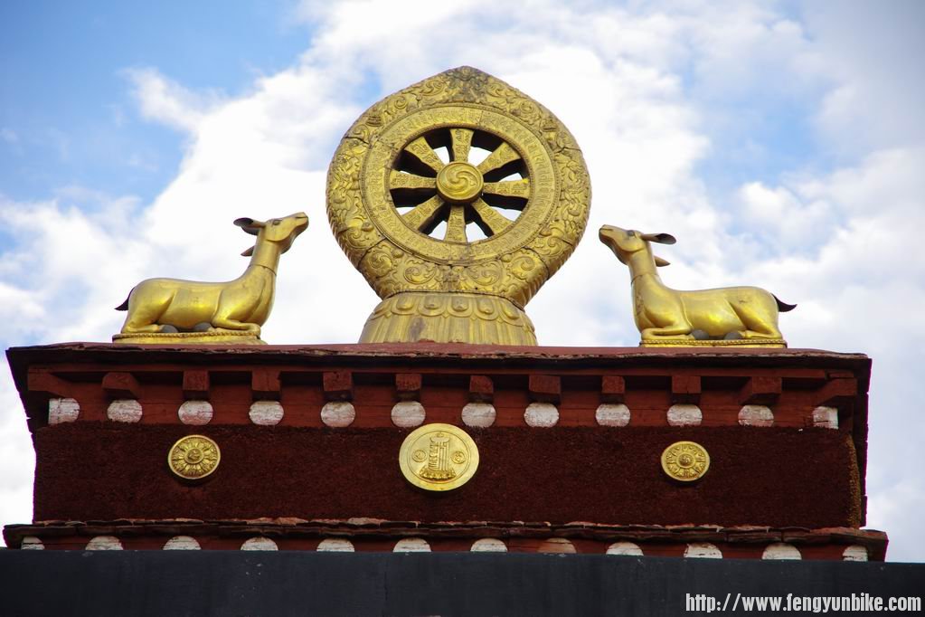 调整大小 IMGP3659.JPG