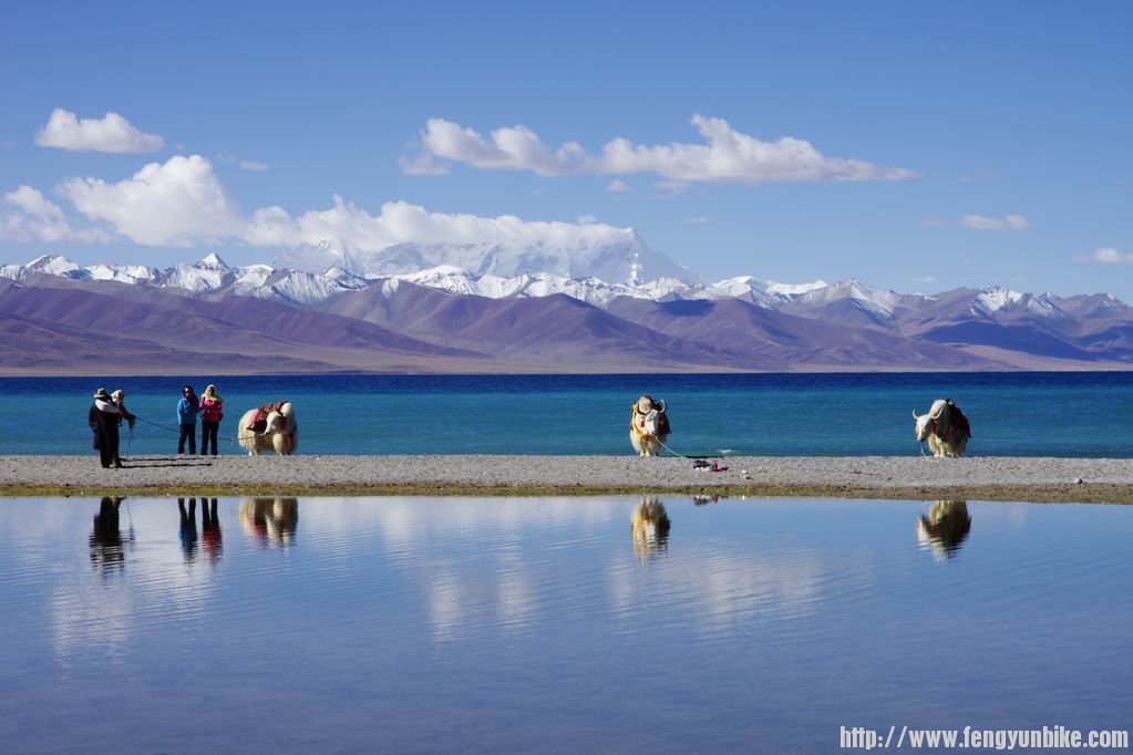 调整大小 IMGP3732.JPG