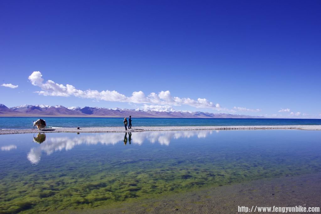 调整大小 IMGP3761.JPG