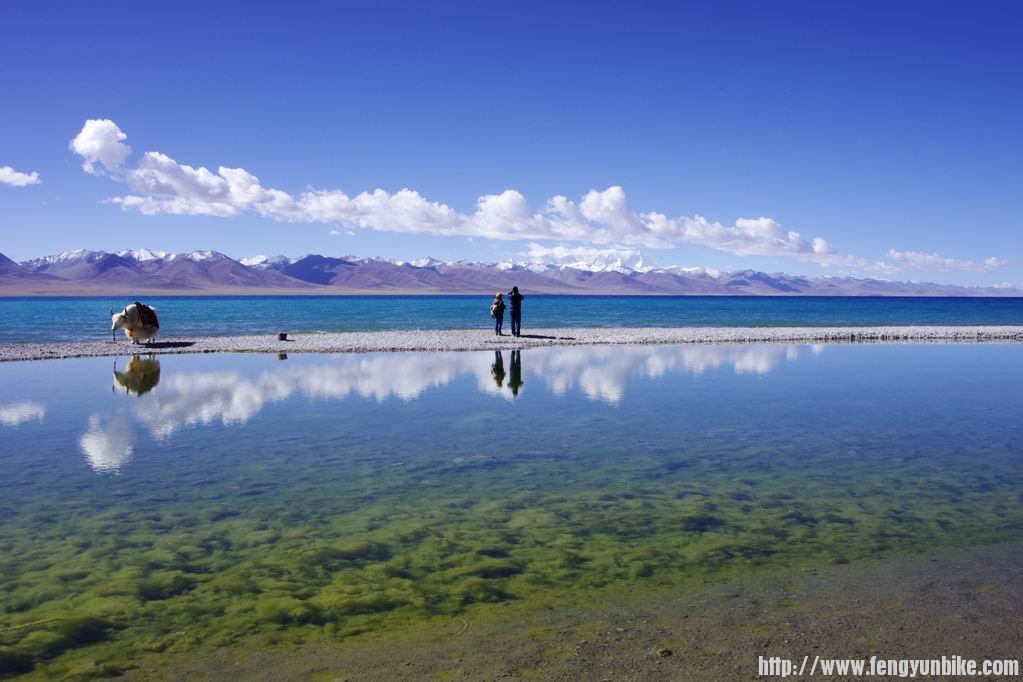 调整大小 IMGP3763.JPG