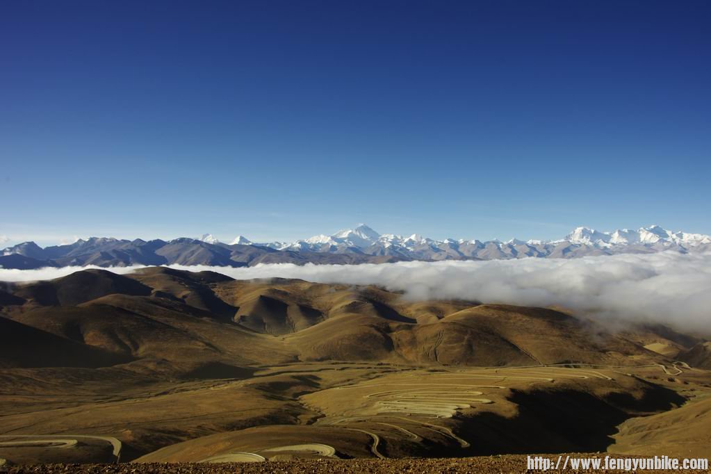 调整大小 IMGP3995.JPG