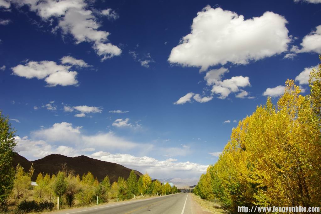 调整大小 IMGP4048.JPG