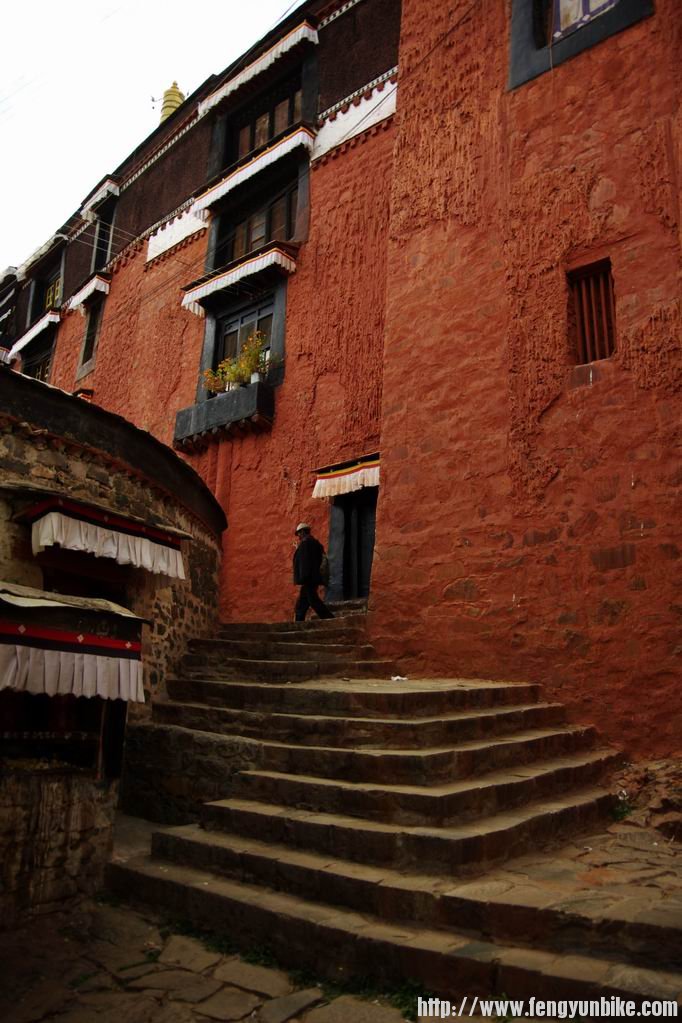 调整大小 IMGP4088.JPG