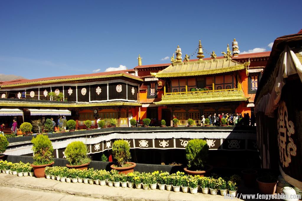 调整大小 IMGP4165.JPG