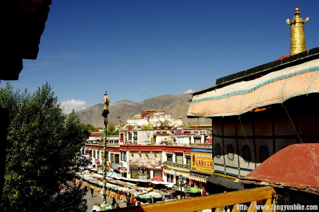 调整大小 IMGP4174.JPG