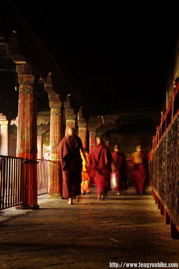 调整大小 IMGP4182.JPG