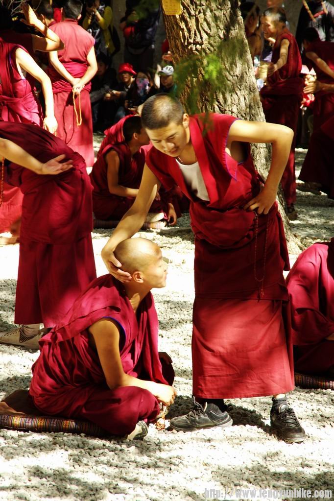 调整大小 IMGP4235.JPG