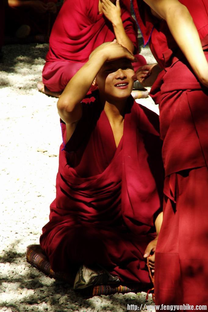 调整大小 IMGP4259.JPG