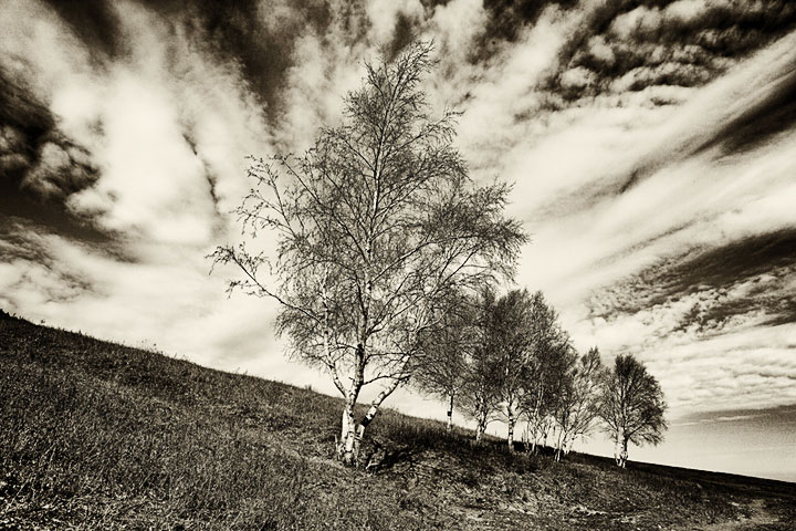 Small-【fulcrum-29】 骑行灵山-2012年10月5日.jpg