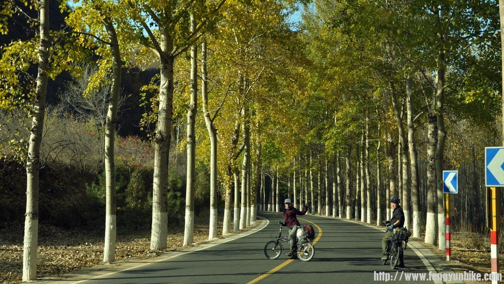 秋天的骑行.jpg