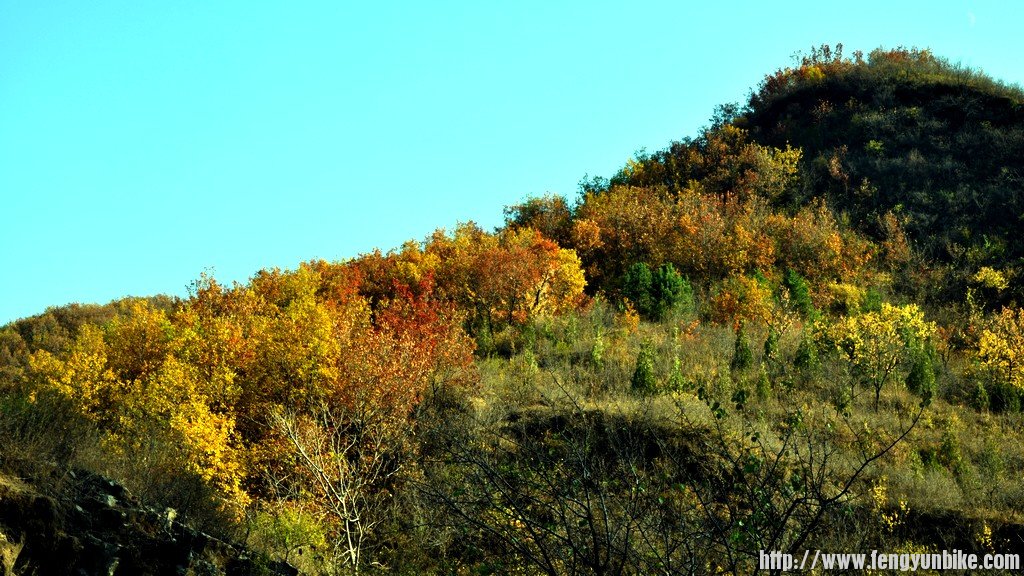 秋天的斜面.jpg