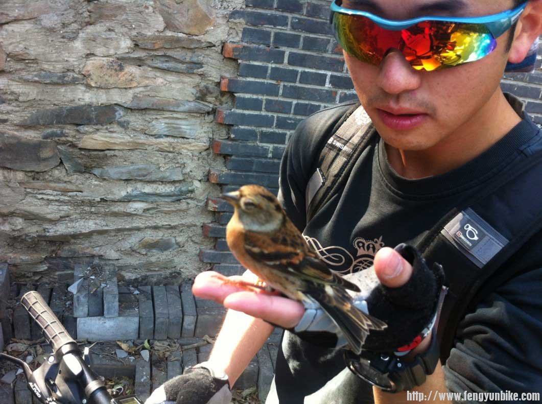 就是它 多鄙视的眼神看着我