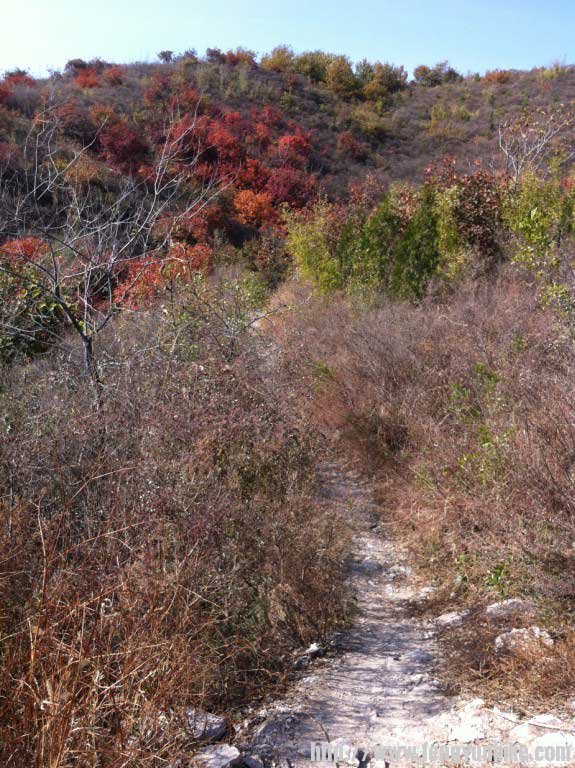 小路开始的部分