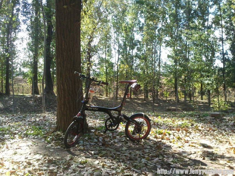 2012-10-22 12.46.29.jpg