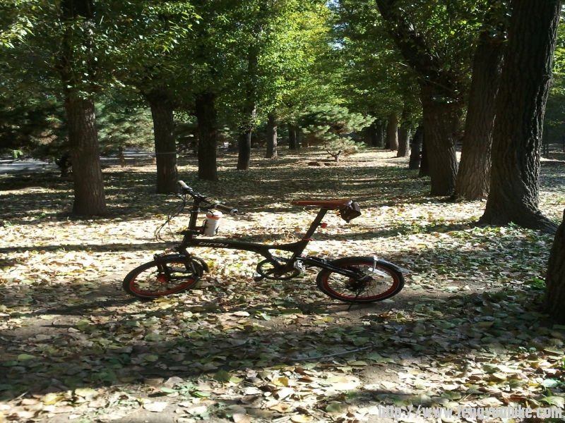 2012-10-22 12.50.53.jpg