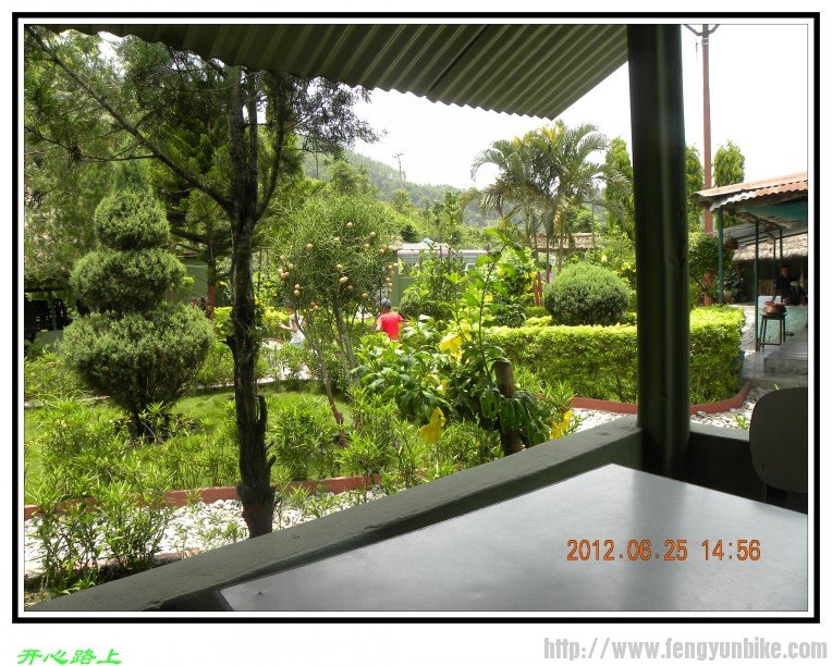 我们在这吃的午饭