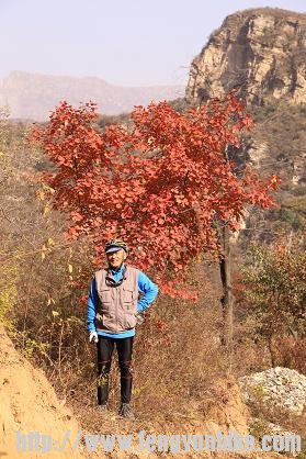 旋转 IMG_3328k.JPG