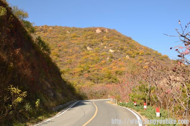 调整大小 DSC_0008.JPG