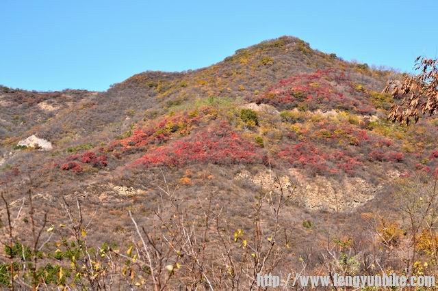 调整大小 DSC_0014.JPG