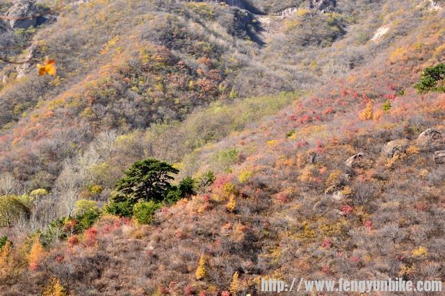 调整大小 DSC_0017.JPG