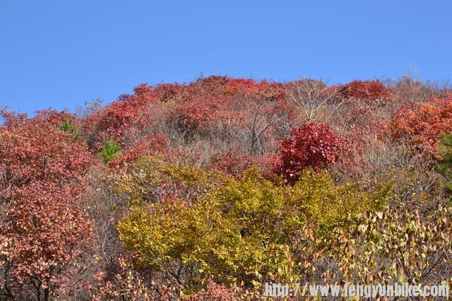 调整大小 DSC_0019.JPG