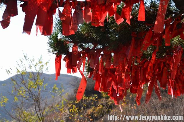 调整大小 DSC_0039.JPG