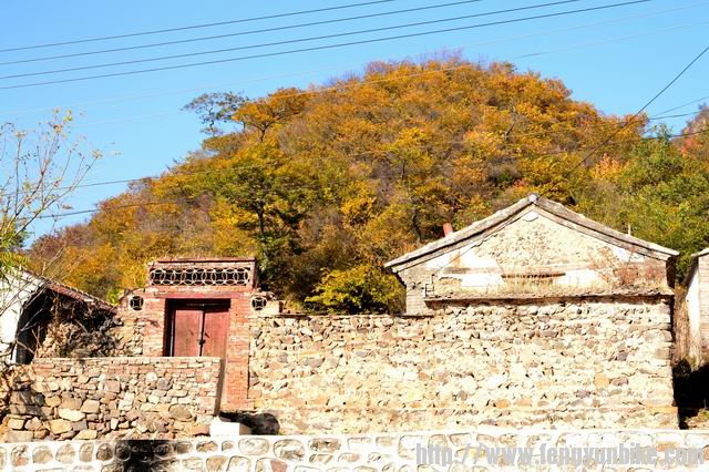 调整大小 DSC_0064.JPG