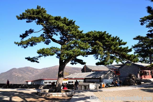 调整大小 DSC_0063.JPG