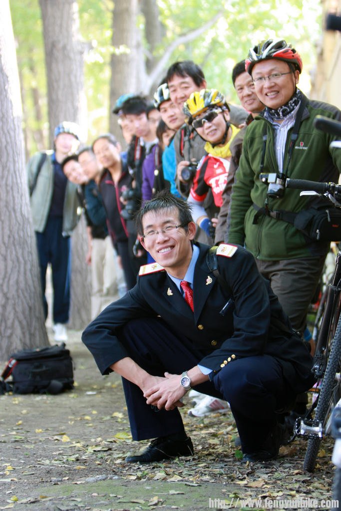 钓鱼台银杏林摄影实战