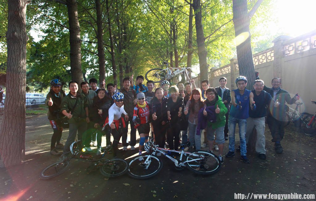 钓鱼台银杏林摄影实战