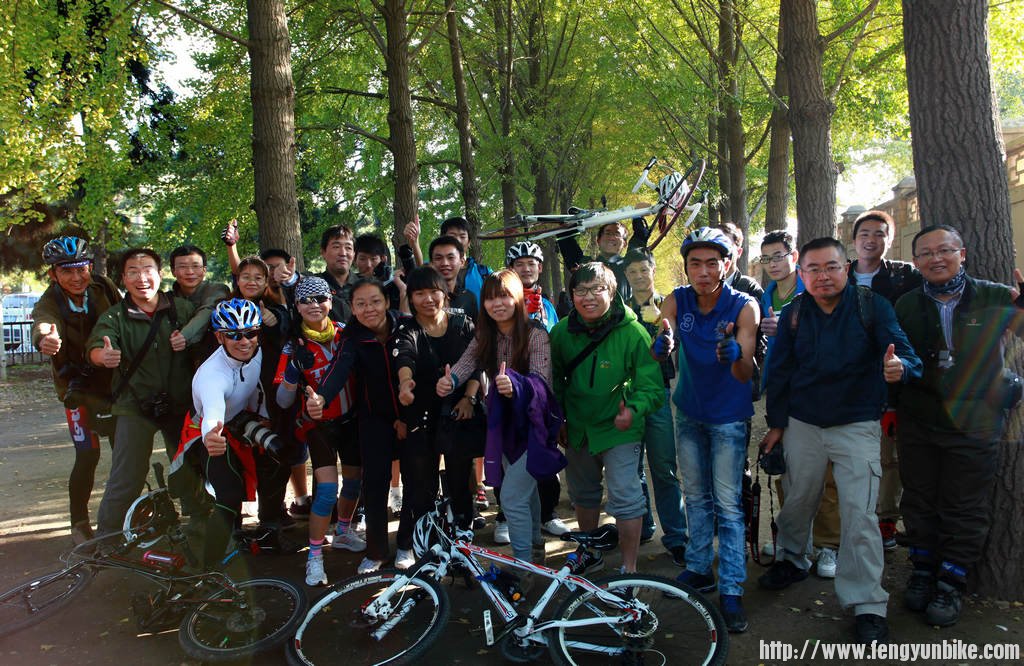 钓鱼台银杏林摄影实战