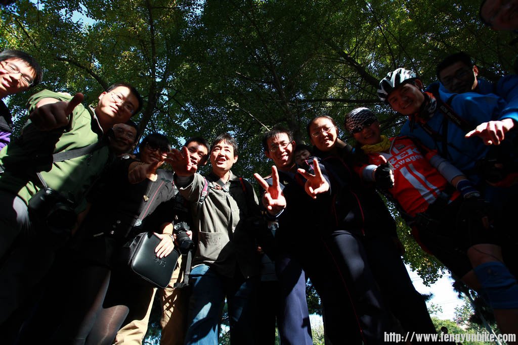 钓鱼台银杏林摄影实战