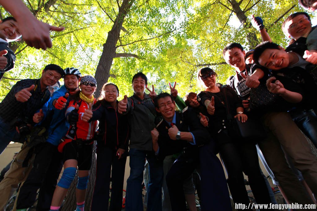 钓鱼台银杏林摄影实战