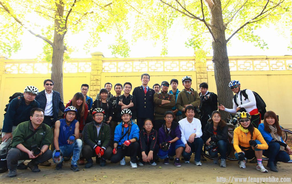 钓鱼台银杏林摄影实战