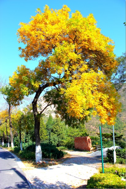 2012年10月6号骑行八达岭长城照片（秋意渐浓）