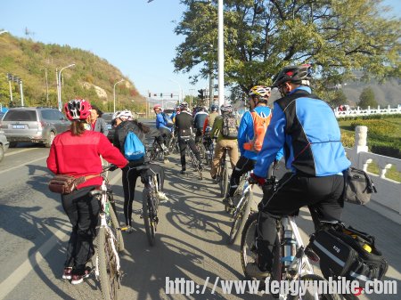 骑行在路上，等红灯。