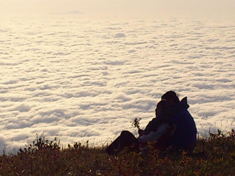 我见过最浪漫的情侣