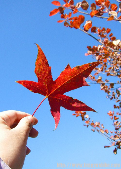 照片 047_副本_副本.jpg