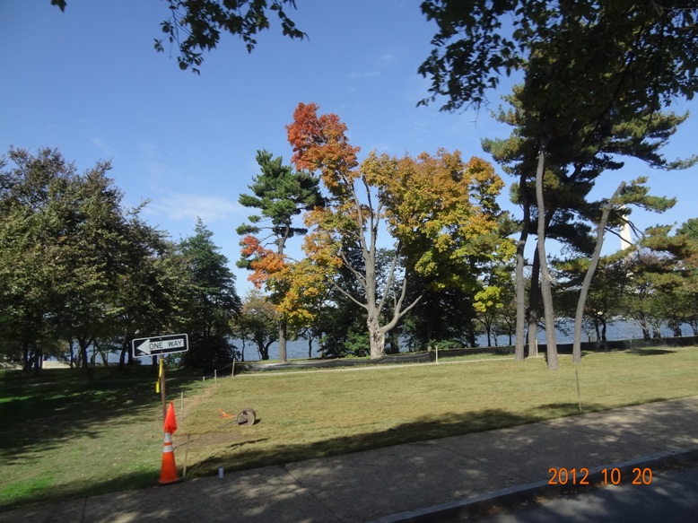 DSC01875 - 副本.JPG