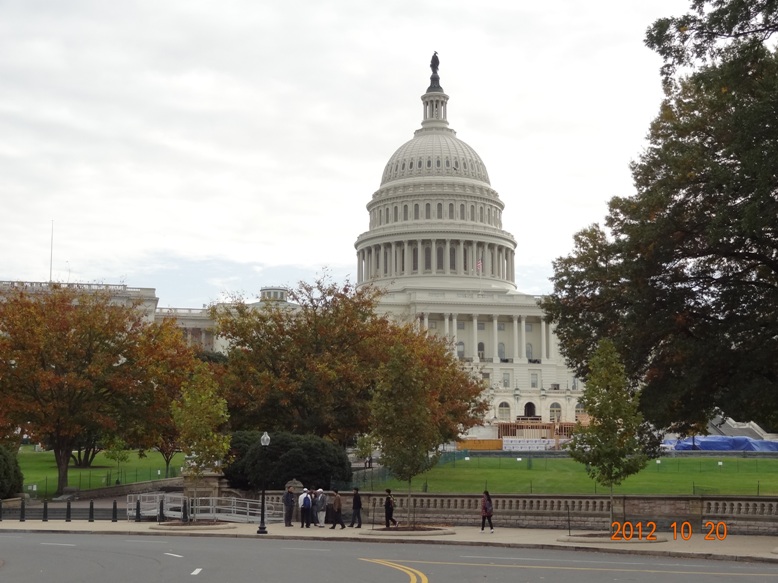 DSC01831 - 副本.JPG